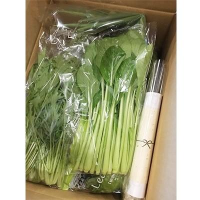 ふるさと納税 伊賀市 忍びの国の野菜セット(12品目以上)