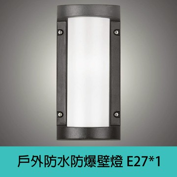 戶外防水防爆壁燈 DS-S6015