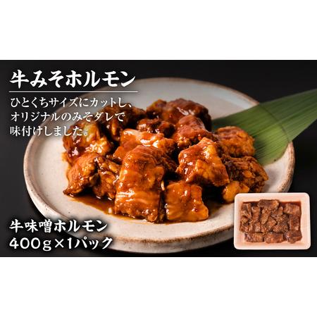 ふるさと納税 焼肉セット5種盛り 計1.7kg タン ハラミ ホルモン プルコギ カルビ 熊本県八代市