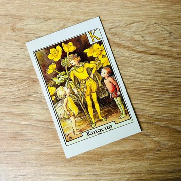 花仙子 字母系列 經典明信片 - Kingcup/ 馬蹄草
