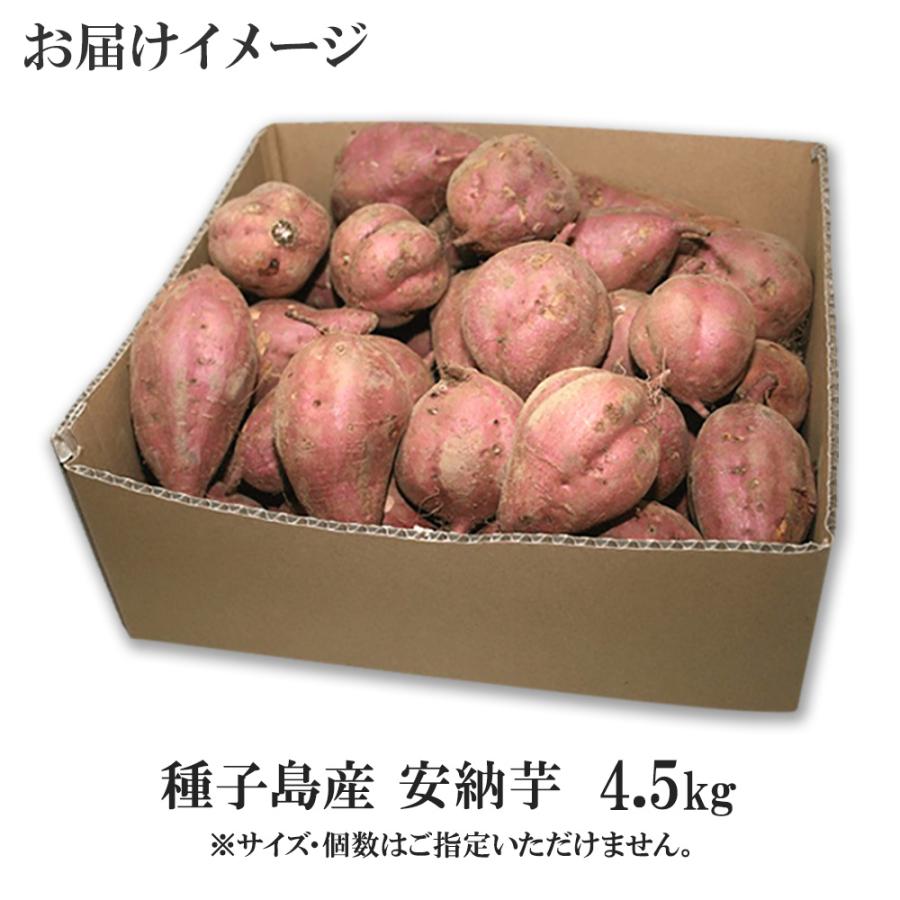 安納芋 4.5kg前後 種子島産 さつまいも サツマイモ 焼き芋 蜜芋 食べ物 産地直送 まとめ買い