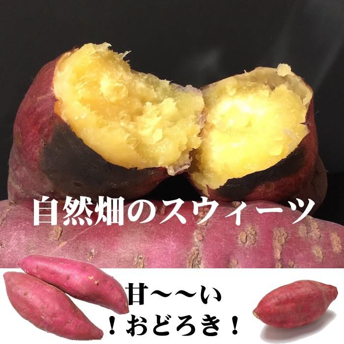 さつまいも約5kg  サイズ混合　無農薬・無化学肥料栽培 　極甘蜜芋　送料無料