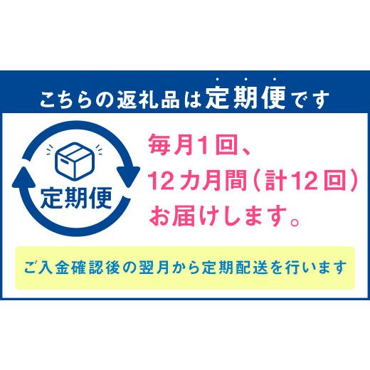 ふるさと納税 長崎県 時津町 野菜のプロ40年が届ける 厳選野菜セット！ 野菜・フルーツ 15〜16品目 詰め合わせ