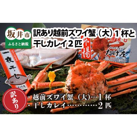 ふるさと納税 訳あり越前ズワイ蟹(大) 1杯 と 干しカレイ 2匹 [J-1602] 福井県坂井市