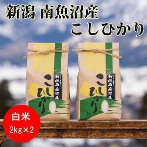 ふるさと納税 南魚沼産コシヒカリ(白米2kg×2袋)を全6回 新潟県南魚沼市