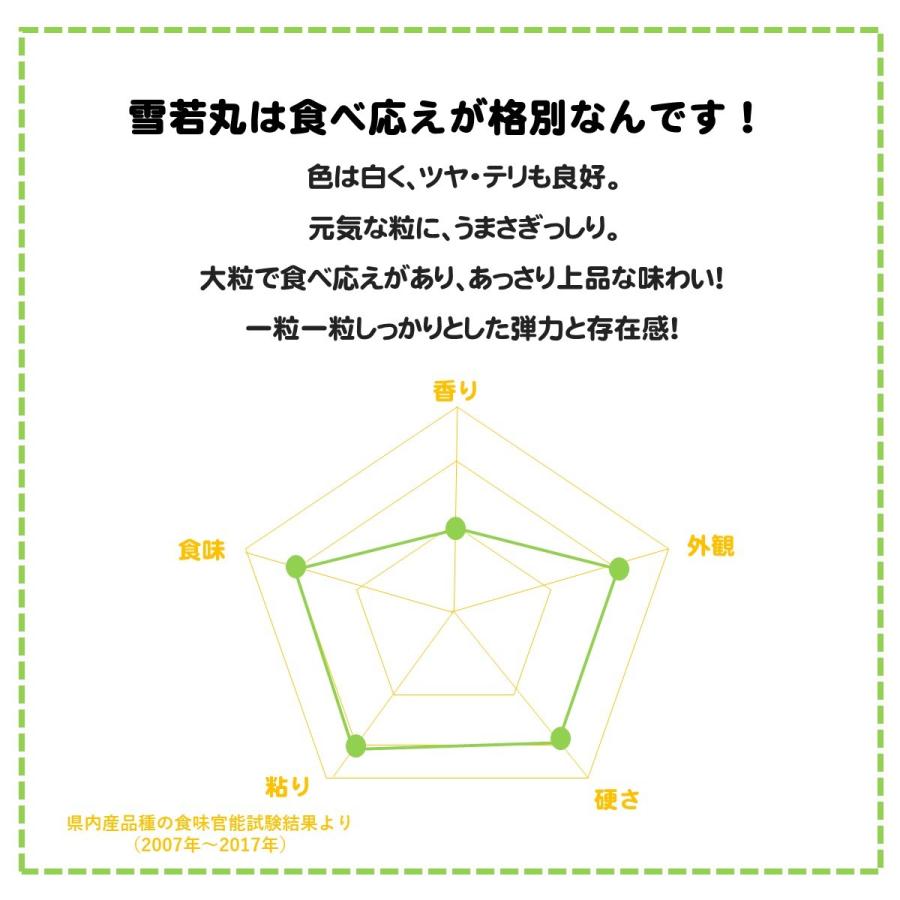 令和４年 雪若丸 5kg 白米 山形県 庄内産 まとめ買いOK