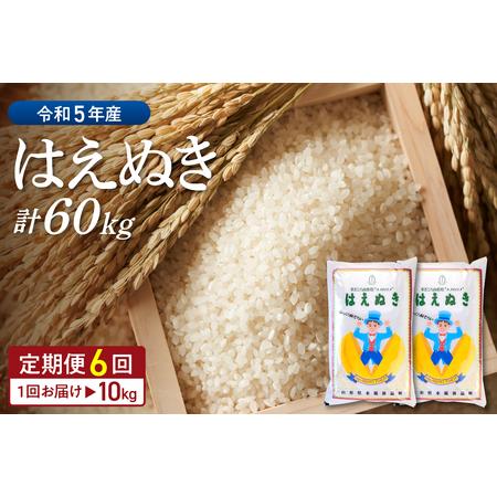 ふるさと納税 ※2024年2月前半スタート※はえぬき 60kg定期便（10kg×6回）山形県産 山形県河北町