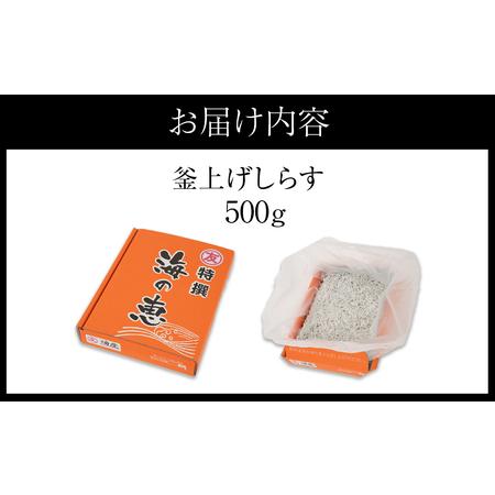 ふるさと納税 紀州湯浅湾直送！海の恵　茹でたて釜揚げしらす　500g　 和歌山県那智勝浦町