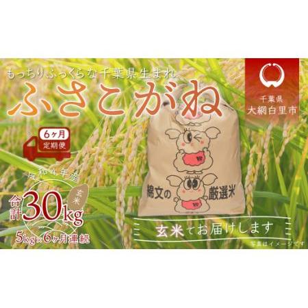 ふるさと納税 ＜6ヶ月定期便＞千葉県産「ふさこがね」玄米5kg×6ヶ月連続 計30kg 千葉県大網白里市