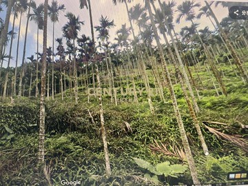 台中新社低總價投資農地｜台中市新社區三友部段