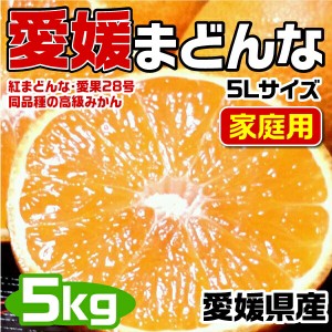 愛媛まどんな (紅まどんな同品種) 5Lサイズ 大玉 5kg JAの正規品(あいか  愛果28号) ご家庭用 バラ詰 高糖度・JA選果…