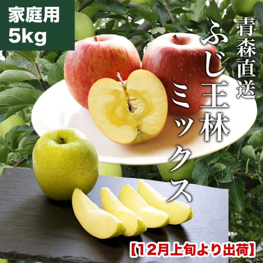 RED APPLE 12月上旬より順次出荷 ふじ王林ミックス 家庭用 約5kg りんご 林檎 果物 フルーツ ギフト 旬