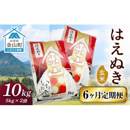 ふるさと納税 金山産米「はえぬき」（5kg×2袋）×6ヶ月・定期便 計60kg 定期便 6ヶ月 米 お米 白米 ご飯 玄米.. 山形県金山町