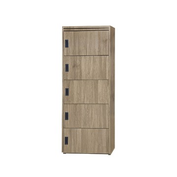 ASSARI -里奇2尺五門置物櫃(寛60x深38x高178cm)