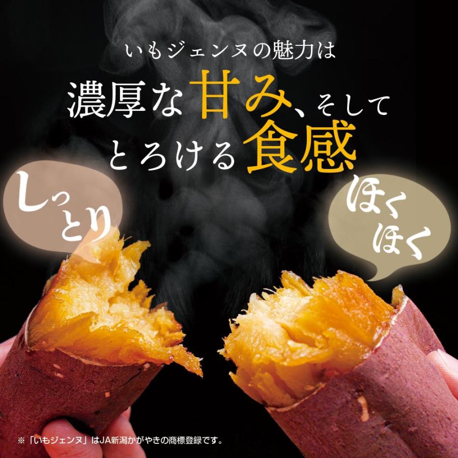 さつまいも さつま芋 薩摩芋 焼き芋 いも いもジェンヌ 新潟県産 1.5kg 4〜5本 長期熟成 グルメ (メーカー直送 代引き不可)