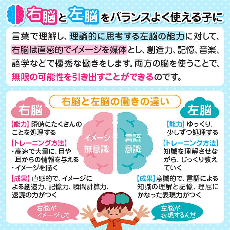 10冊セット　七田式　知力ドリル　2歳　3歳　知育　迷路　足し算　引き算　子供　幼児　知育　ドリル　教育　勉強　学習　送料無料　ポイント10倍