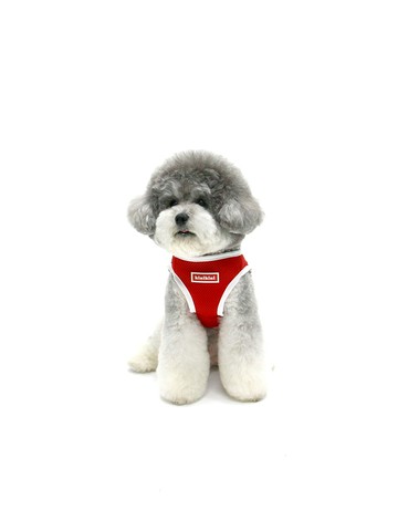 Kini Original Logo Mesh Harness_Red