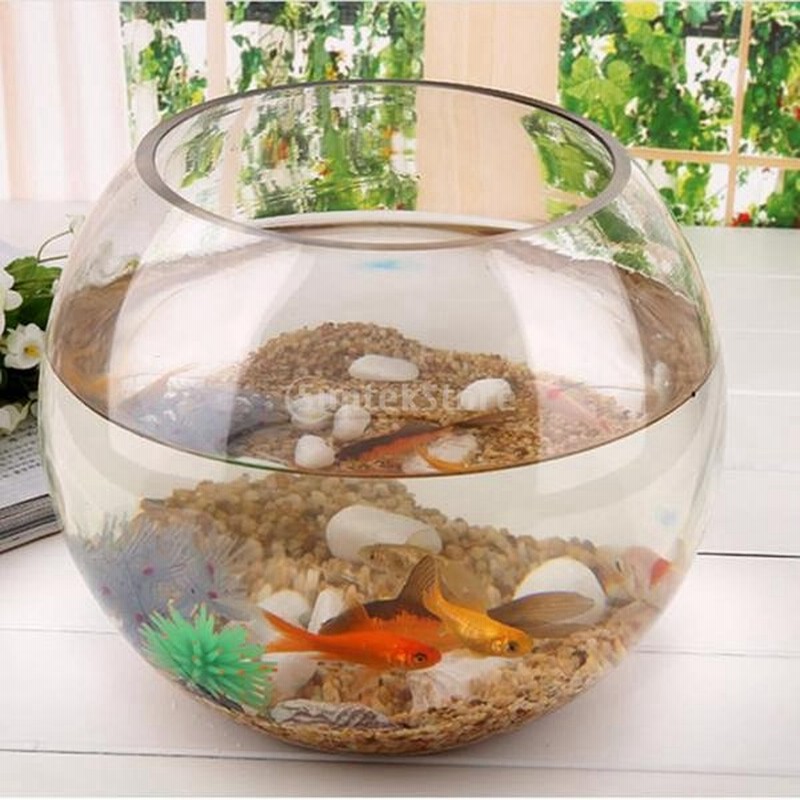ガラス製 ラウンド 透明 ボウル 球 花瓶 魚 水槽 通販 Lineポイント最大0 5 Get Lineショッピング