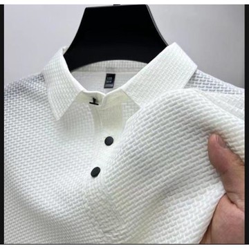 Summer Polo Sport Mens Shirts Hawaiian Shirt Ice Silk T恤男