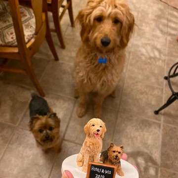 【客製化3D寵物紀念公仔】訂製手作似顏繪肖像狗狗貓咪毛小孩娃娃