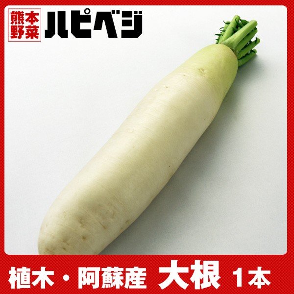 大根同梱専用　※こちらの商品は野菜セット購入した方のみの同梱商品になります。