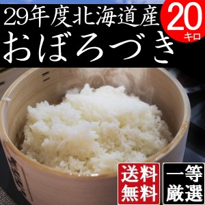 米 10キロ×2 送料無料 安い おぼろづき 北海道産 お米  10kg×2 安い 白米 北海道米 検査一等米