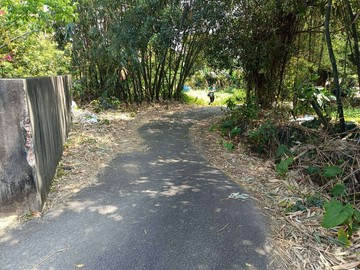 新北市樹林預訂都計建地｜新北市樹林區西園段
