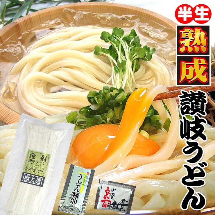 20時間熟成  半生 極太 讃岐うどん つゆ付きセット 便利な個包装 750g 送料無料 最安値挑戦 得トクセール 特産品