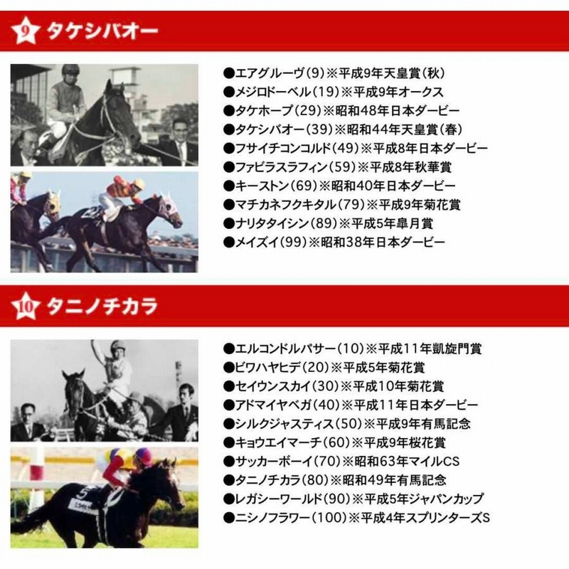 20世紀の名馬100 DVD 全10巻セット JRA DREAM HORSES 2000 DMBG-40342