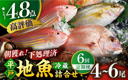 朝獲れ！平戸地魚詰合せ定期便[KAA304]  長崎 平戸 魚介類 魚 鮮魚 内臓処理 下処理 旬魚 海鮮 定期便