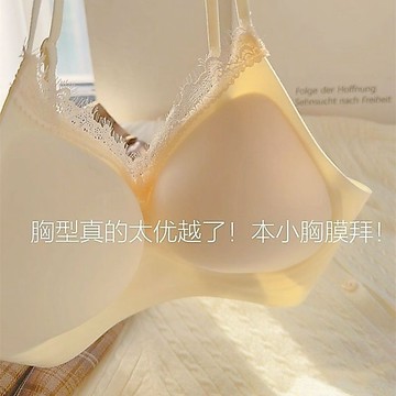 【臺灣出貨 免運】超值兩件裝舒服蕾無痕蕾絲內衣女小胸聚攏美背心式細肩帶無鋼圈夏