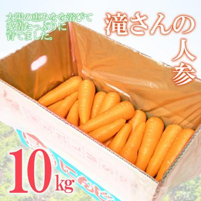 ふるさと納税 諫早市 滝さんの人参10kg