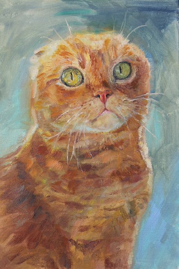 紅貓原創油畫動物藝術品