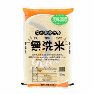 お得な無洗米 5kg 生活応援ブレンド米 5kg 白米 (保存包装 選択可）