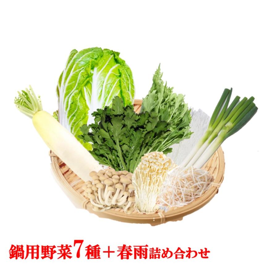 野菜セット 鍋野菜7種類と美味しい春雨のセット