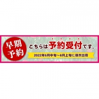 和歌山県産のもも 紀の里の桃 約2kg 《2024年6月中旬-8月中旬頃より順次出荷》 送料無料 6～8玉入り 旬の桃を厳選 あかつき モモ 果物 フルーツ お取り寄せ あかつき 予約 和歌山 白鳳 日川白鳳 八旗白鳳 清水白桃 川中島白桃 つきあかり