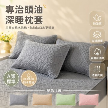 台灣出貨✨ 夾棉枕套 防口水枕套 防頭油枕套 隔離枕芯保護套 48x74cm學生枕套 居家寢具枕套