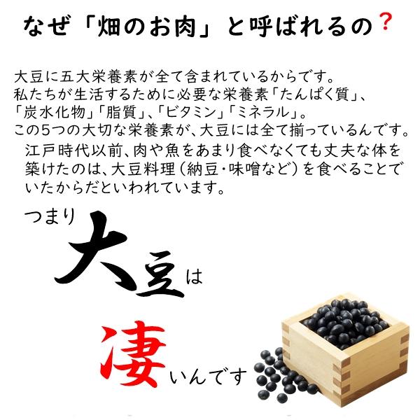 国産 煎り大豆 たっぷり500g 無添加、塩不使用 畑のお肉 国産大豆100％使用 ネコポス便発送