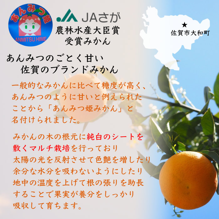 [予約 2024年1月1日必着]  あんみつ姫みかん 早生  Sサイズ 約 5kg 佐賀県産 高糖度 ミカン 産地箱 お正月必着指定 お年賀 御年賀 冬ギフト