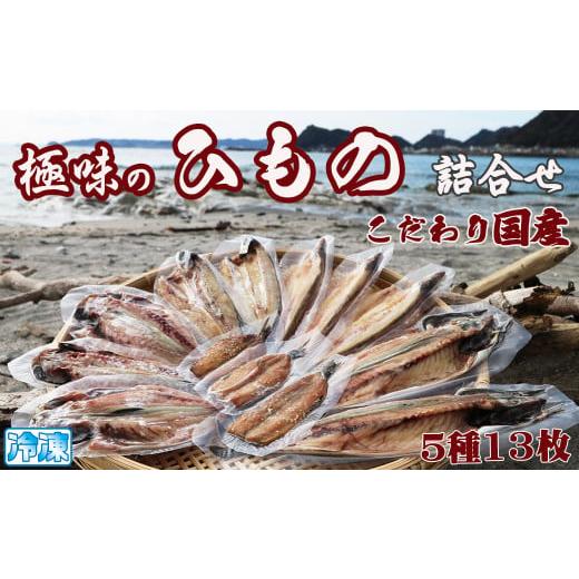 ふるさと納税 千葉県 鴨川市 こだわりの国産ひもの詰合せ ５種１３枚　[0015-0025]