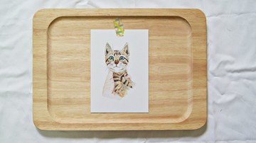 捕獲野生川川　明信片