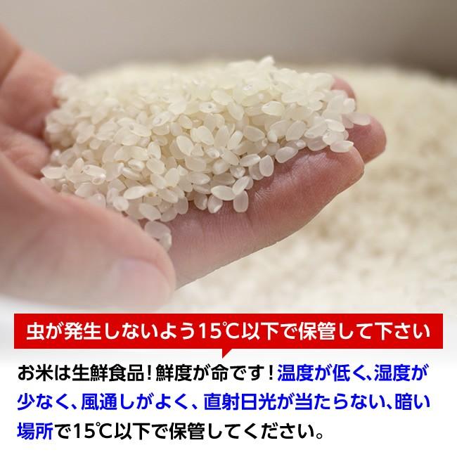 令和5年産 山形県産 あきたこまち 玄米30kg