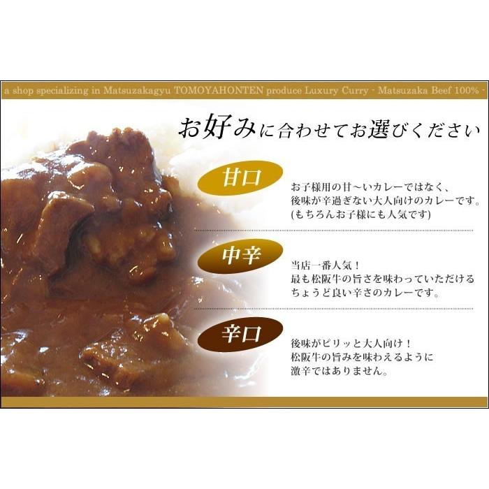 松阪牛 レトルトカレー １０箱 松阪牛ビーフカレー 松阪肉100% 松坂牛 ギフト 手土産