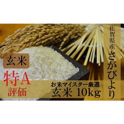 ふるさと納税 佐賀県 鹿島市 B-21鹿島市産厳選さがびより　玄米１０ｋｇ