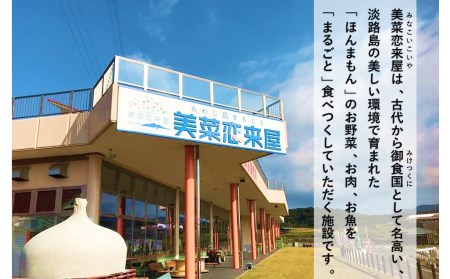 ほんまもん淡路島野菜BOX（大）