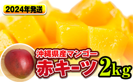 南国の果物　沖縄県産マンゴー　赤キーツ　2kg