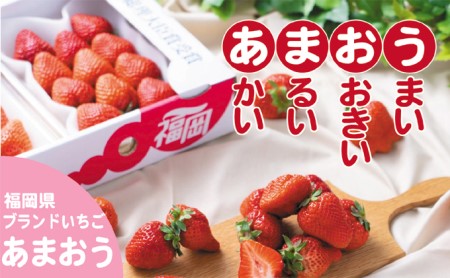 いちご あまおう 福岡県産 約1kg 250g×4パック 筑前あさくら農協 配送不可 離島