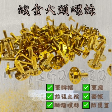 MG部品 鍍金 鍍鈦大頭螺絲 前後土除、車廂 防燙蓋  面板 腳踏螺絲 大牌 多功能螺絲 車牌框