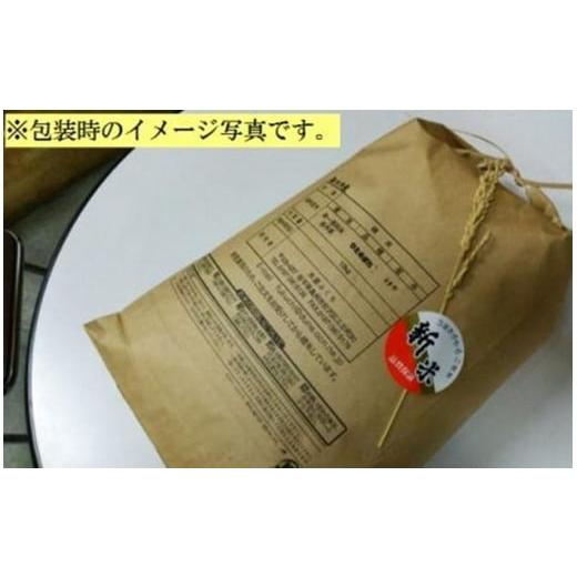 ふるさと納税 岩手県 奥州市 新登場の高級米　令和5年産　新米  岩手県奥州市産 金色の風