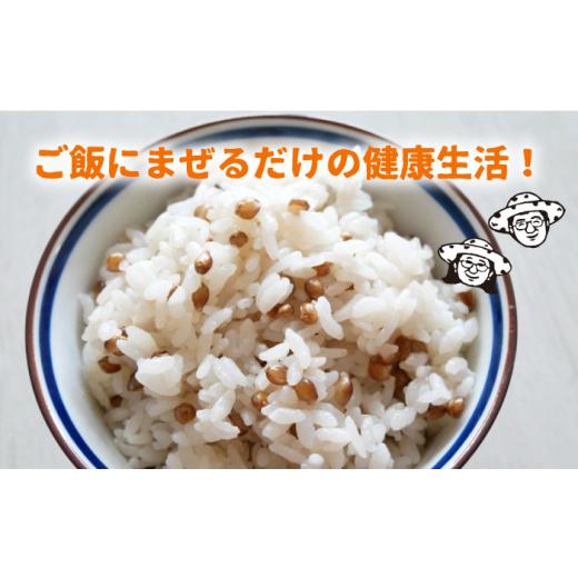 ふるさと納税 佐賀県 白石町 白石産 もち麦 900g（300g×3袋）／回（総計5.4kg） [IAA035]